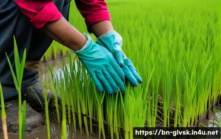 농작업용 장갑 내구성 테스트 - A dedicated Bengali farmer, mid-shot, working diligently in a vibrant green rice paddy field under a...
